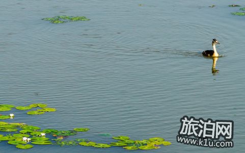 兴凯湖旅游攻略 兴凯湖在哪