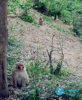 南湾湖旅游攻略 南湾湖门票多少钱