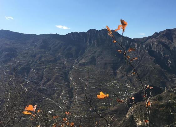 上方山游记 上方山好玩吗