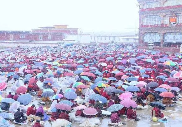 怎么去亚青寺 德格有去亚青寺有车吗