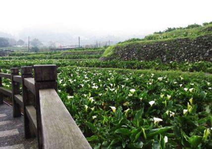 台湾旅游最佳季节是什么时间   台湾旅游注意事项是什么