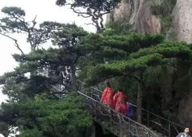 三清山旅游攻略  三清山在哪里