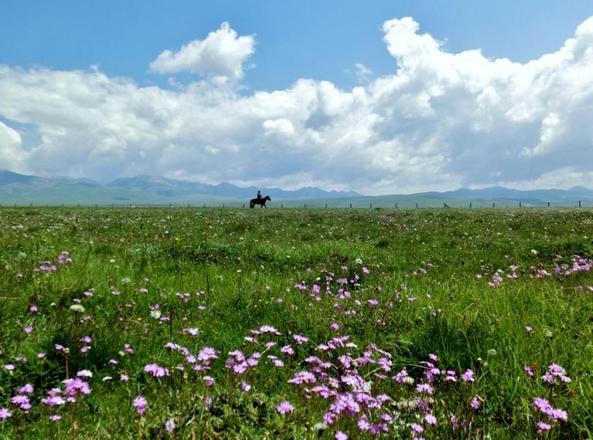 四川阿坝州旅游攻略