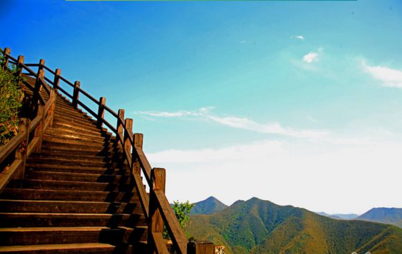 南山竹海门票多少钱 南山竹海有哪些景点