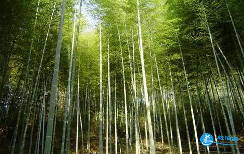 青春旅社拍摄地在哪里