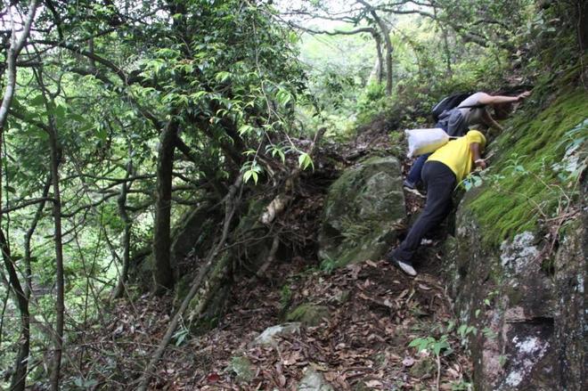 武功山自由行攻略 武功山门票免费