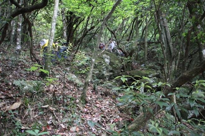 武功山自由行攻略 武功山门票免费