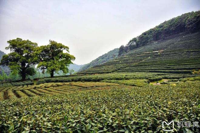 西湖有什么好玩的 西湖旅游攻略