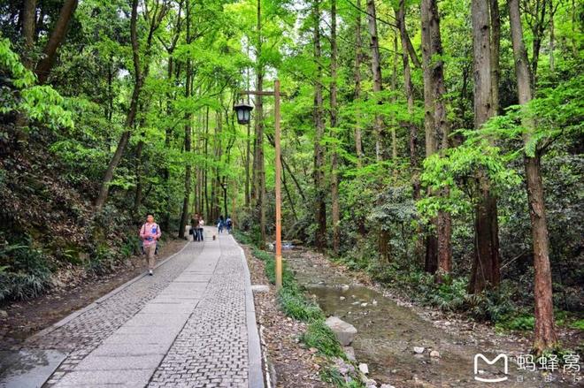 西湖有什么好玩的 西湖旅游攻略