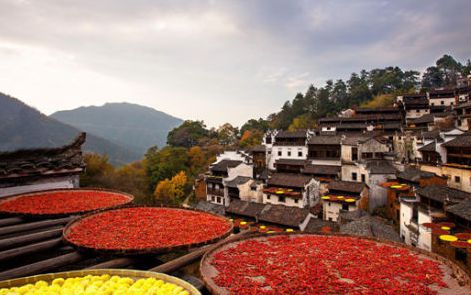 婺源篁岭门票多少  婺源篁岭旅游攻略