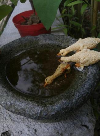 天堂寨风景区旅游攻略+门票价格