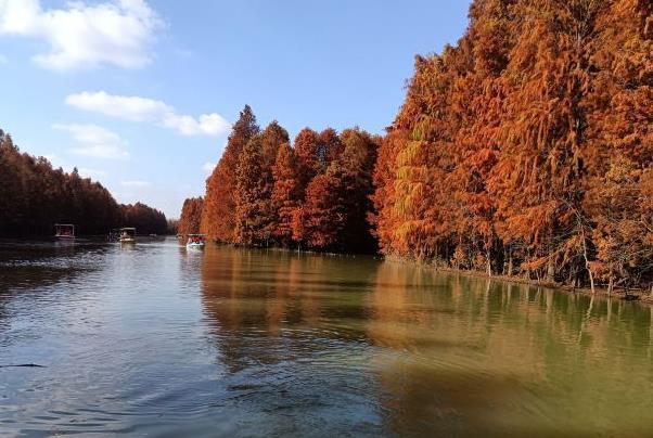 上海奉贤有什么好玩的景点 一整年的旅游指南