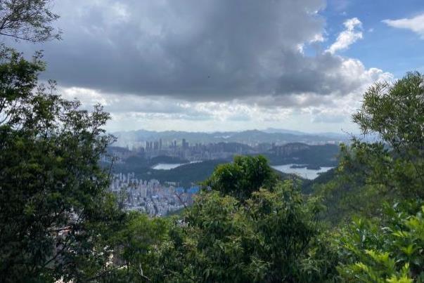 广东十大最美森林旅游目的地 梧桐山游玩路线推荐