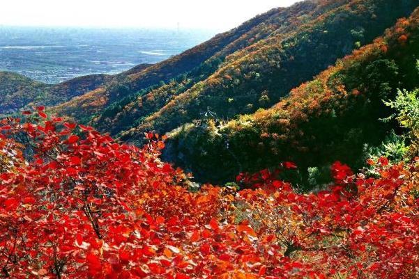 秋季北京香山公园登山路线推荐