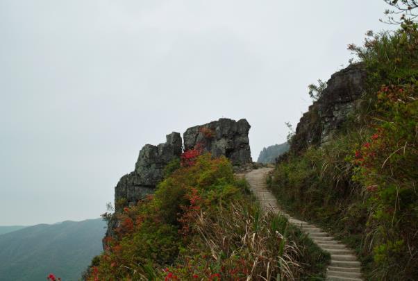 温州苍南秋季登高景点推荐