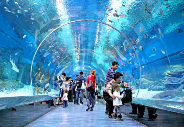 年8月27日武汉东湖海洋乐园恢复开放
