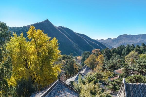 潭柘寺求什么比较灵验 潭柘寺拜佛攻略