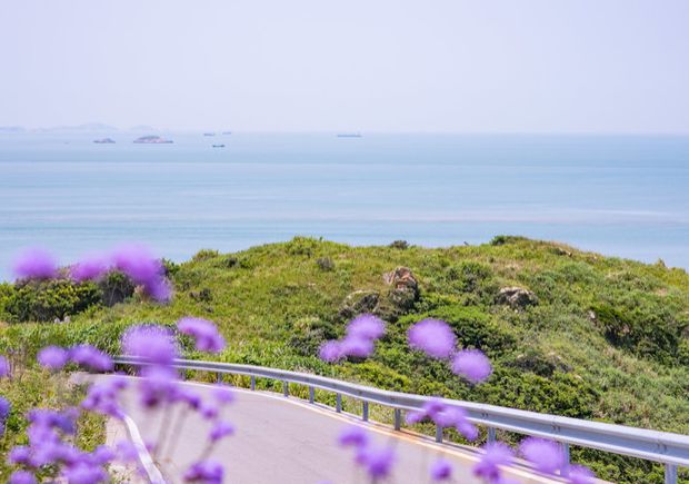 花鸟岛旅行攻略