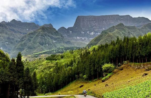 乐山大瓦山景区介绍及游玩攻略