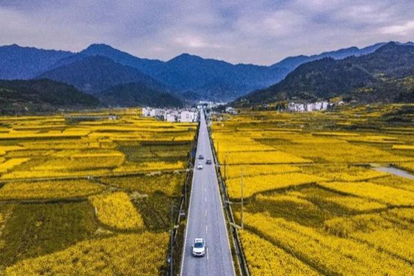 婺源油菜花节是什么时候-活动介绍