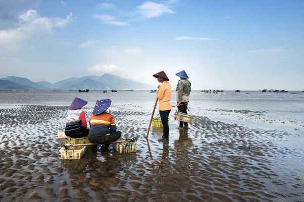 青岛免费赶海比较好的地方是哪里 青岛游客赶海去什么地方好 