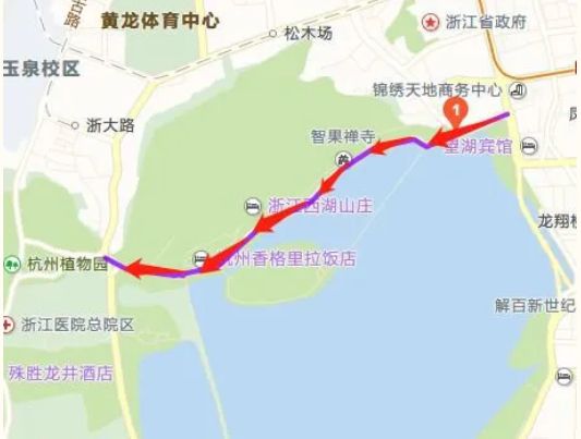 杭州落叶不扫路段汇总