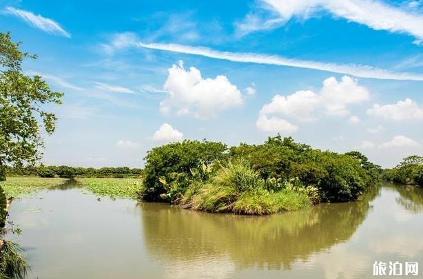 广州南沙湿地公园游玩攻略