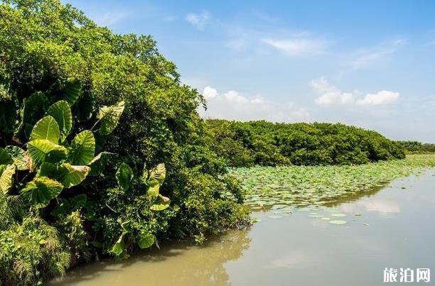 广州南沙湿地公园游玩攻略