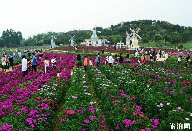 广东免费旅游必去十大景点