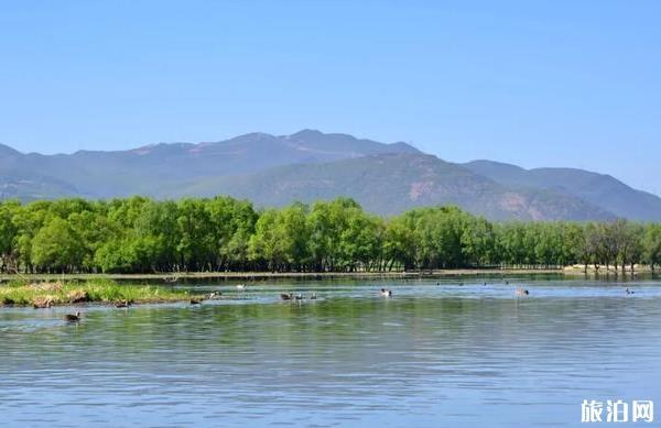 大理剑湖湿地公园游玩攻略