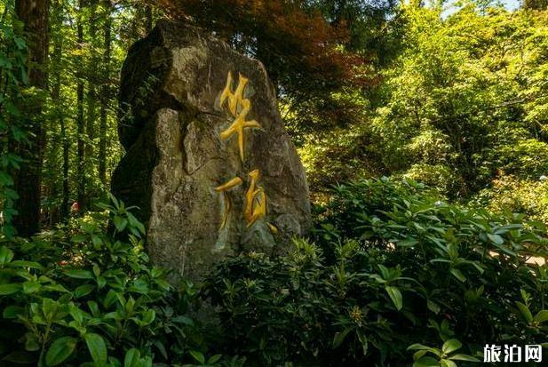 天台山大瀑布游记 天台山大瀑布旅游攻略