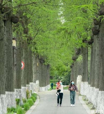 武汉东湖旅游攻略最新版