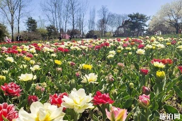 北京植物园一日游攻略