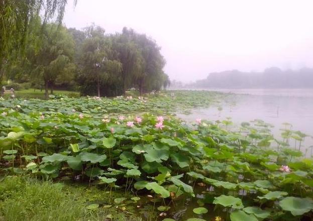 玄武湖历史介绍