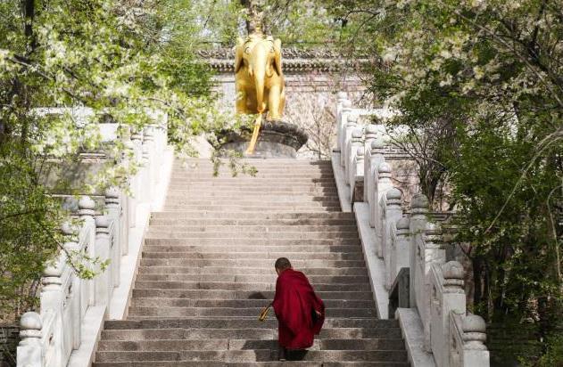 西宁塔尔寺游玩攻略 西宁塔尔寺旅游攻略