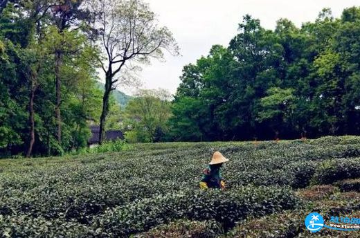 杭州周末怎么玩 杭州周末2日游攻略