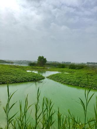 西安灞渭桥车游湿地公园门票+游玩攻略