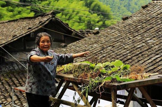 楠溪江哪个景点最好玩 楠溪江旅游攻略