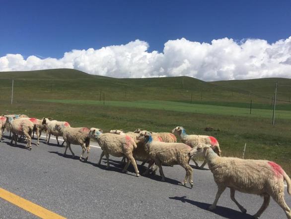 祁连山有什么好玩的 祁连山旅游景点有哪些