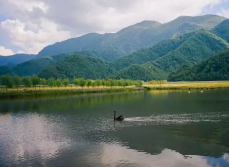 大九湖旅游攻略  大九湖在哪儿  大九湖门票是多少