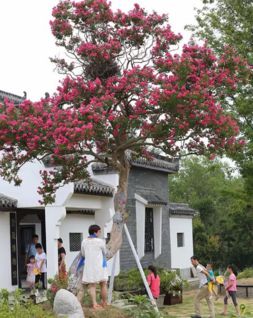 武汉紫薇都市田园一日游 武汉紫薇都市田园攻略