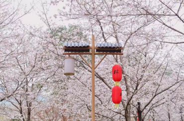 武汉有什么旅游景点 武汉三日游攻略