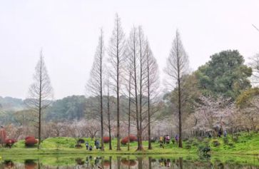 武汉有什么旅游景点 武汉三日游攻略