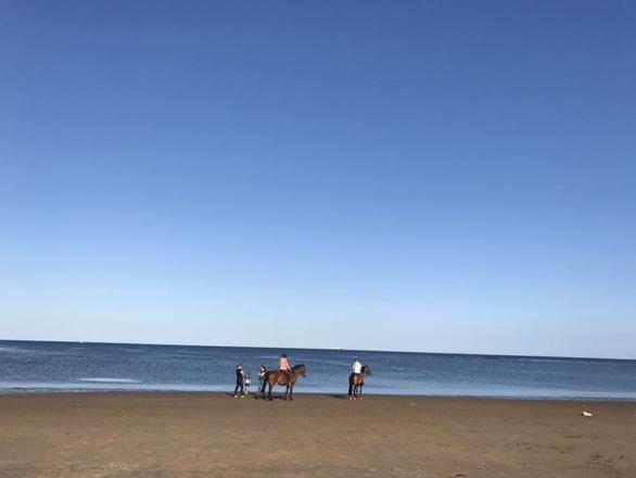 桑德兰旅游攻略 桑德兰旅游价格费用