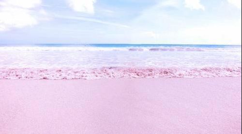 巴哈马粉色沙滩旅游 巴哈马粉色沙滩在哪里 巴哈马粉色沙滩怎么去