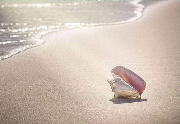 巴哈马粉色沙滩旅游 巴哈马粉色沙滩在哪里 巴哈马粉色沙滩怎么去