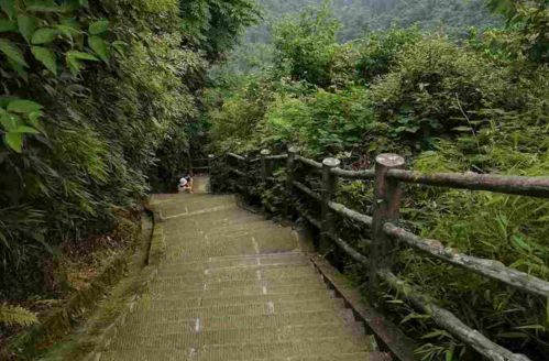 峨眉山旅游攻略  峨眉山有什么好玩的