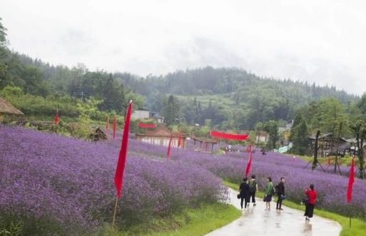 利川三日游旅游攻略