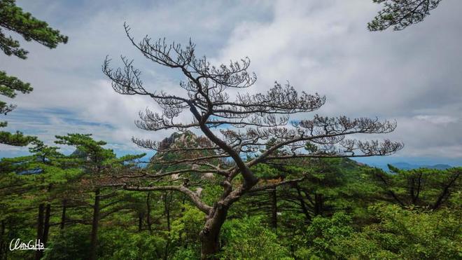 黄山有哪些著名景点 黄山旅游攻略