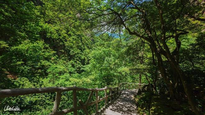 黄山有哪些著名景点 黄山旅游攻略